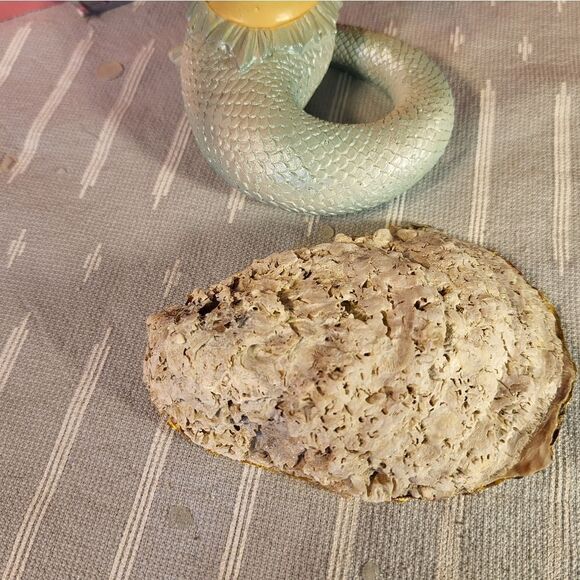 DECOUPAGE OYSTER SHELL DECOUPAGE FLOWERS TRINKET DISH ON A OYSTER SHELL - Picture 5 of 5